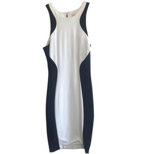 Black & White Knee Length Dress